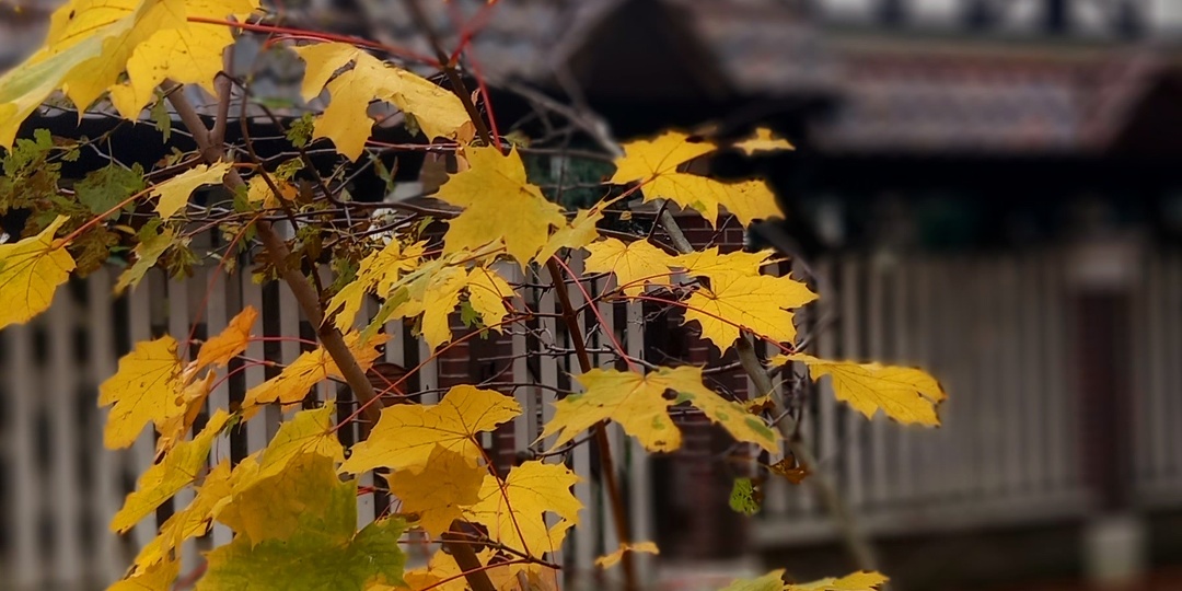 АДАПТАЦИЯ В КАЛИНИНГРАДЕ ПОСЛЕ ПЕРЕЕЗДА.