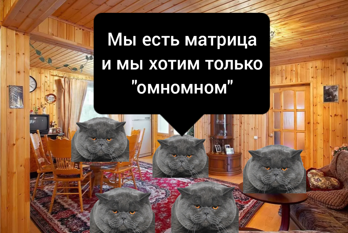 Кототрица