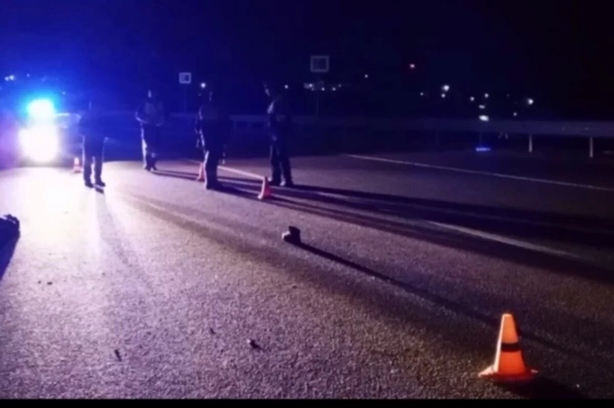    42-летний пешеход скончался после ДТП на трассе в Пермском крае