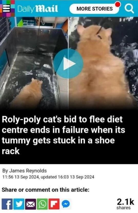 -2-2