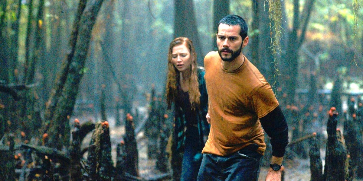 - Что не так? Да всё не так, Зин! Опять бобры весь валежник спи***или! 