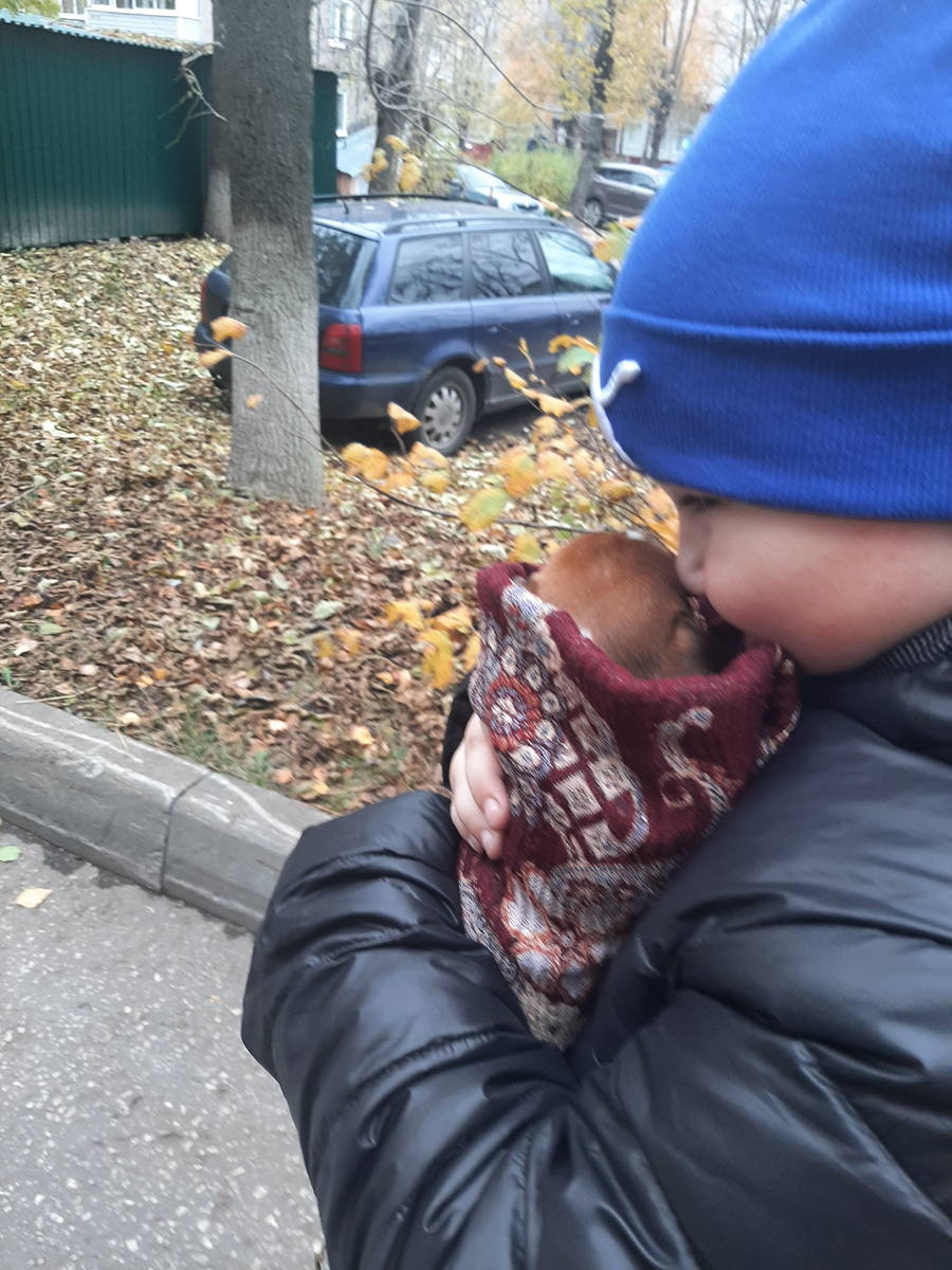 Моя собачка 