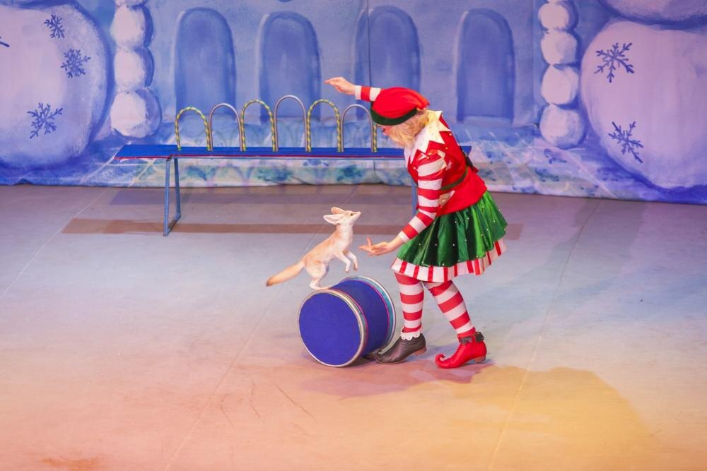 Билеты «Вслед за старой сказкой»