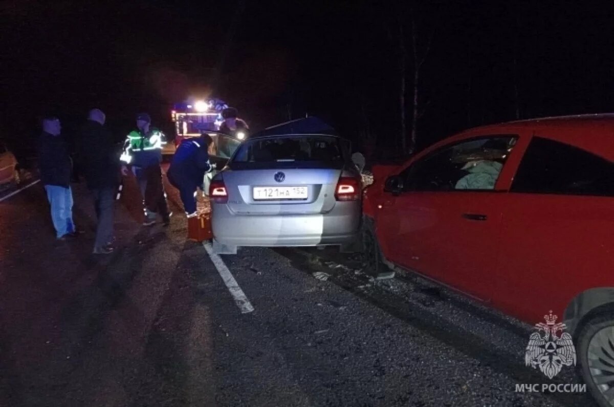    Лиса стала причиной смертельного ДТП в Дивеевском округе