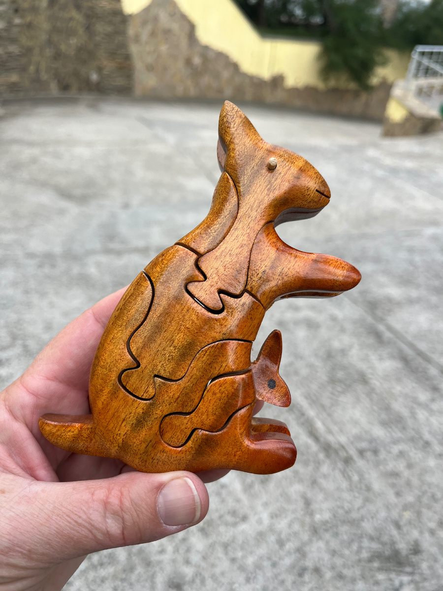 Фото автора. Как вам кенгуру? 🦘 