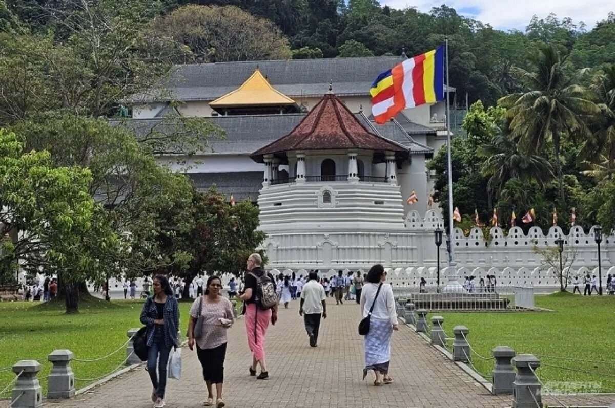    Задержанных в Шри-Ланке за проживание без визы россиян депортируют 5 ноября