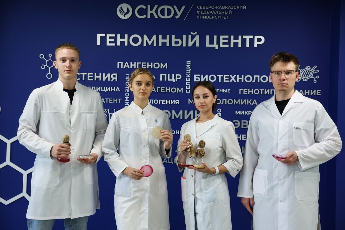 Новый факультет позволит развивать новые кадры.  Фото: Фото: Пресс-служба СКФУ