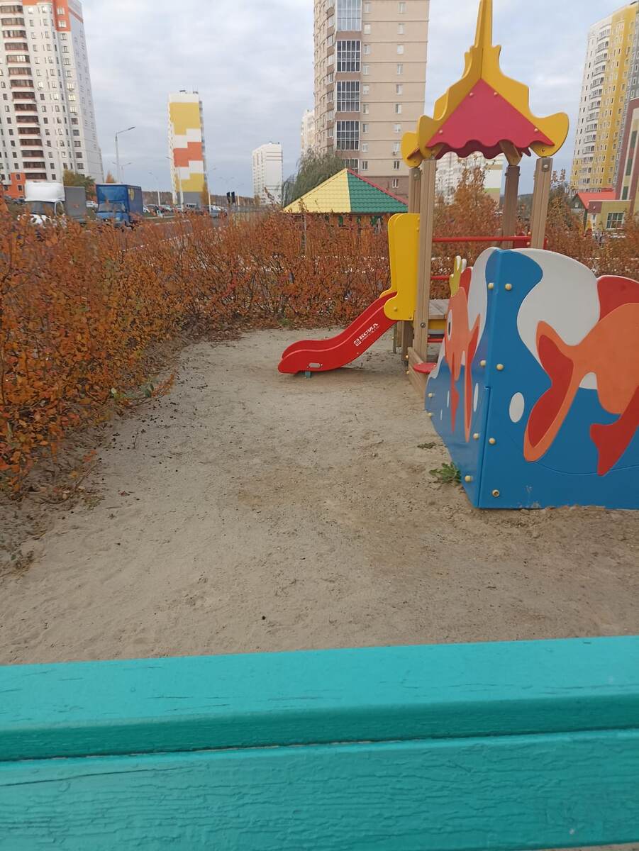 Фото автора