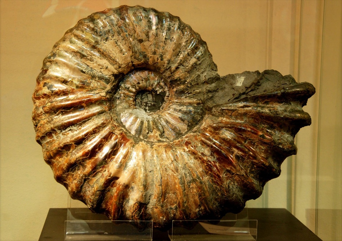 Фото: turbinatravels.com