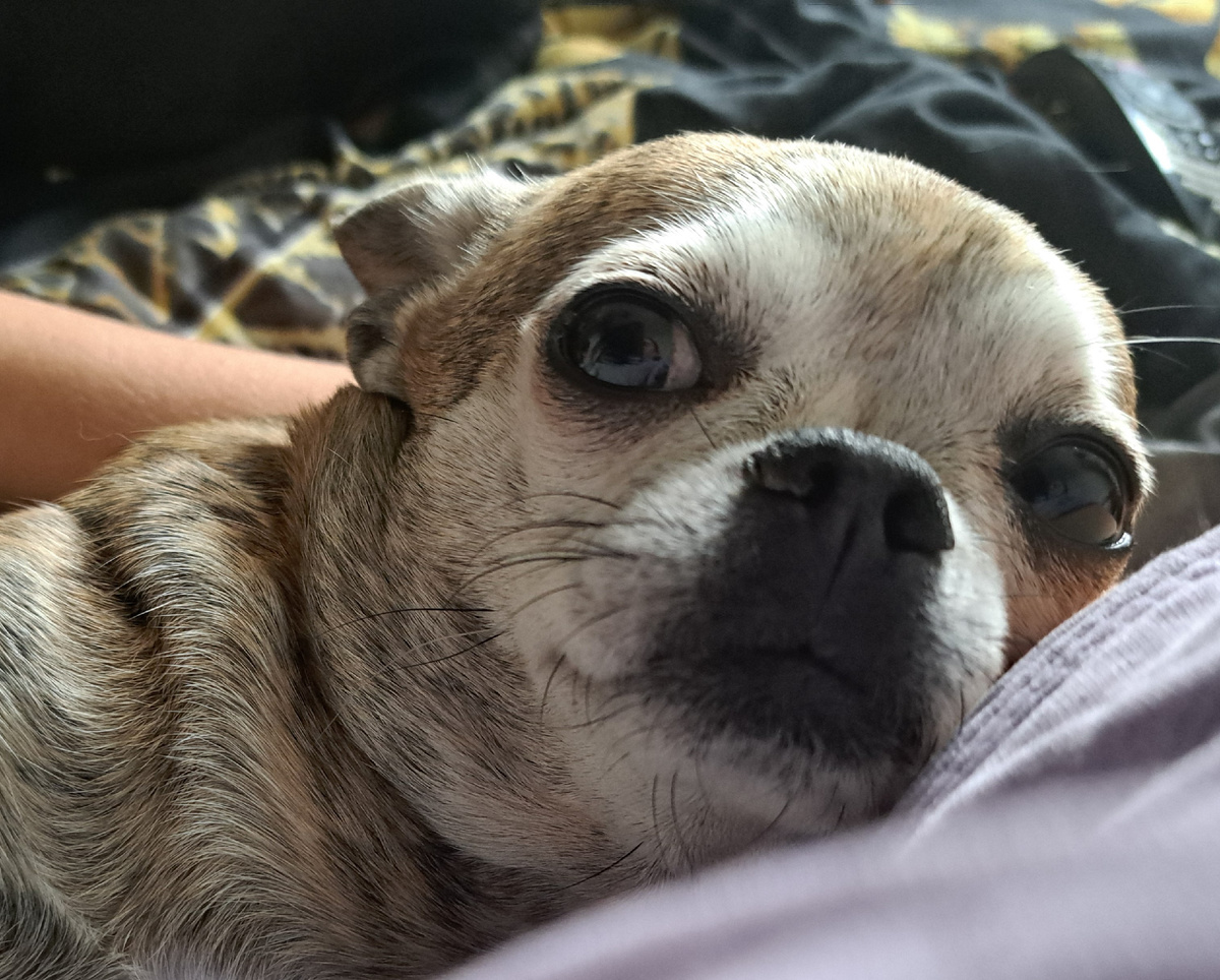 фото из личного архива