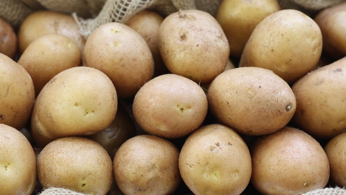 Фото: Belkin Alexey/Global Look Press