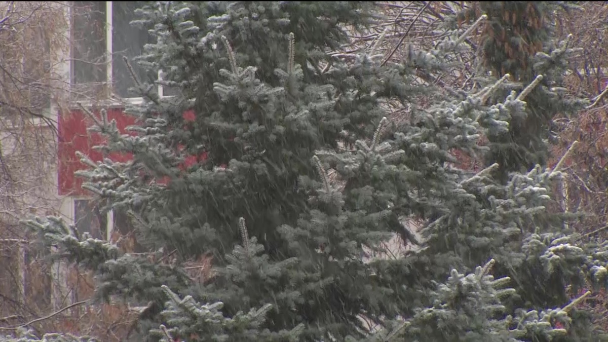    В Уфе выпал первый снег