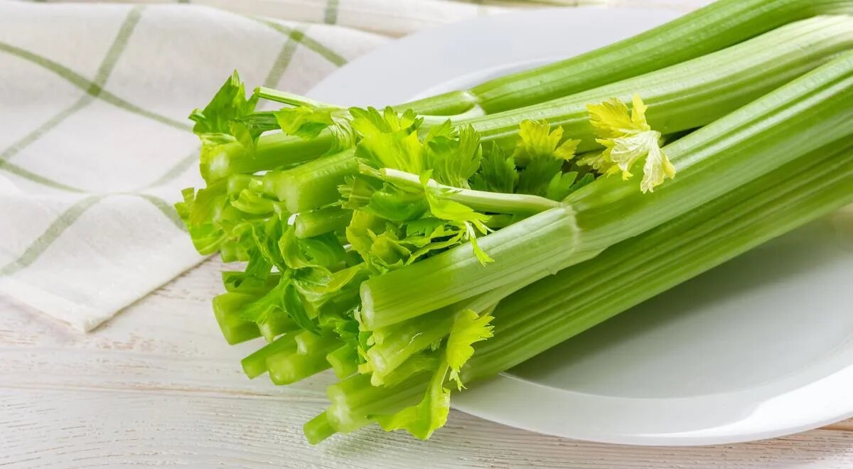   Стебли сельедеря можно есть сырыми, чтобы получить максимум пользы