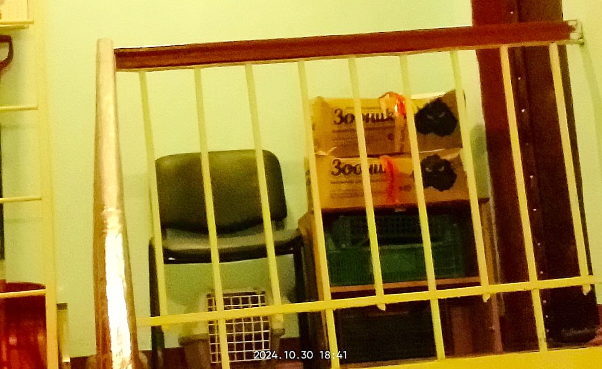 На последок запечатлел момент...