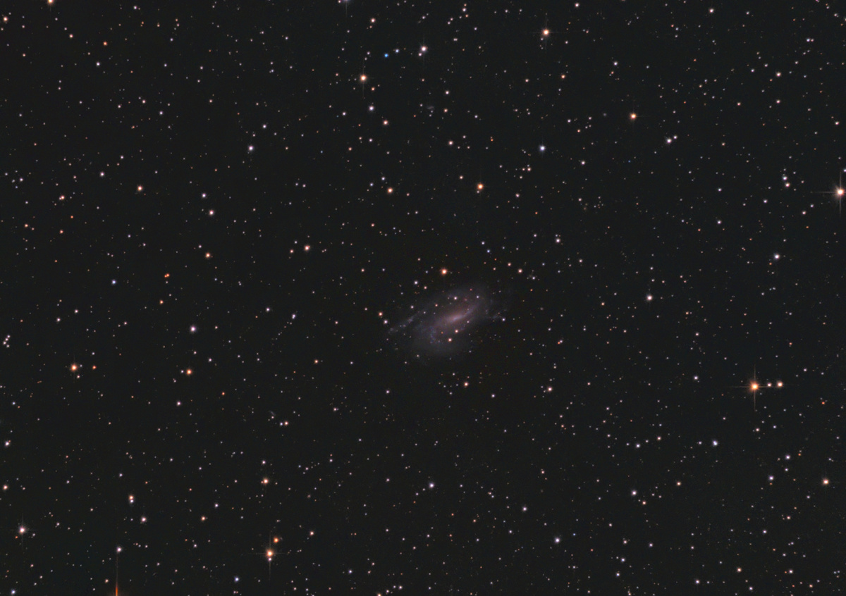 Галактика NGC 925. Снято в г. Воскресенск (д.Городище) 03.09.2024, через телескоп Sky-Watcher BK P2001HEQ5 Pro, на камеру ZWO ASI294MC Pro + фильтр Optolong L-Pro. Сложено 39 кадров по 300 секунд. Gain 120