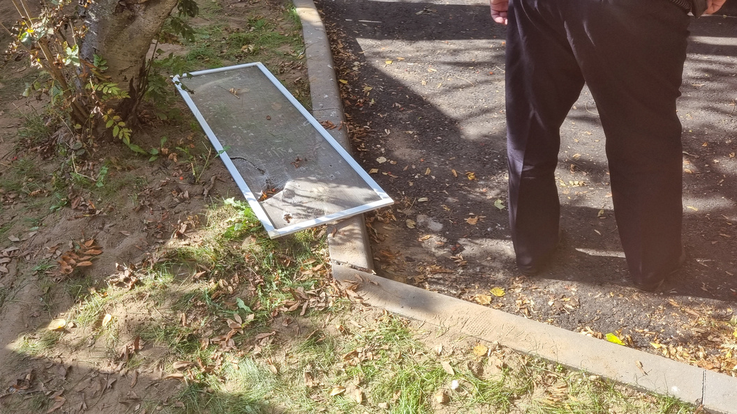    Фото: Ulyanov Vladimir/news.ru