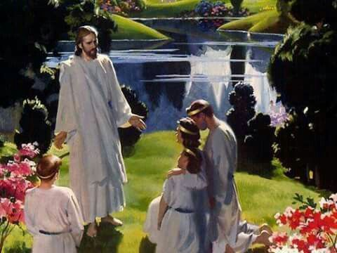 Рай на земле        фото из свободного источника