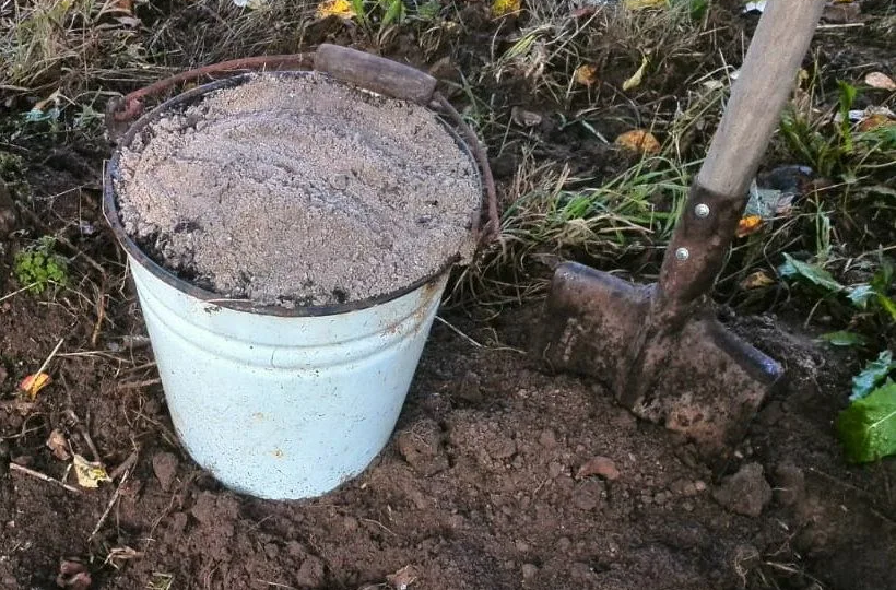 Какие растения нельзя подкармливать золой