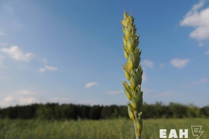    ЕАН / Аграрии обеспокоены серьезным дефицитом кадров