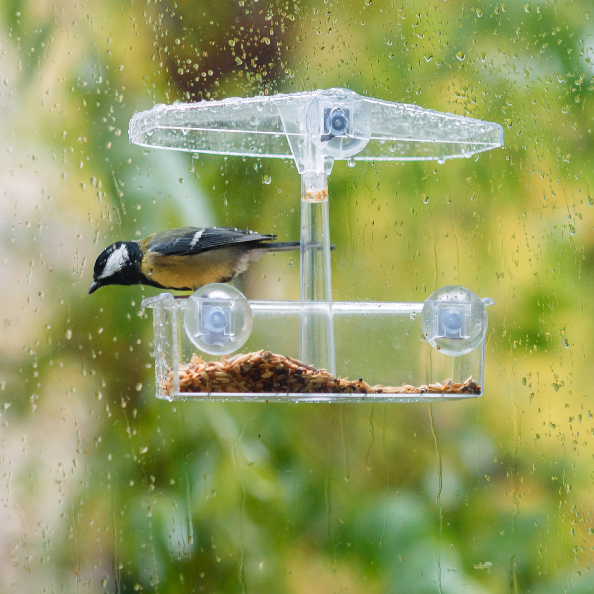 Точнее, одной синицы