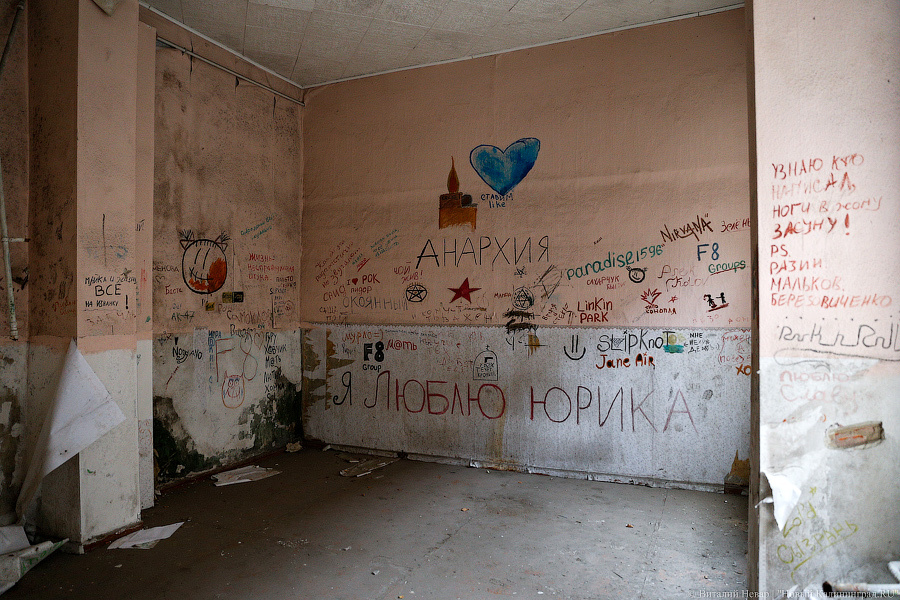 Листайте вправо, чтобы увидеть больше изображений