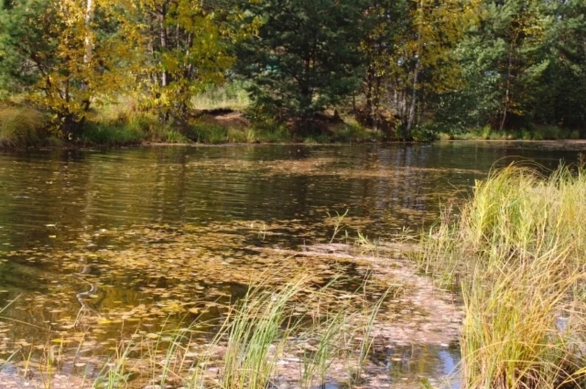    Воронежцам рассказали о заморозках в конце рабочей недели