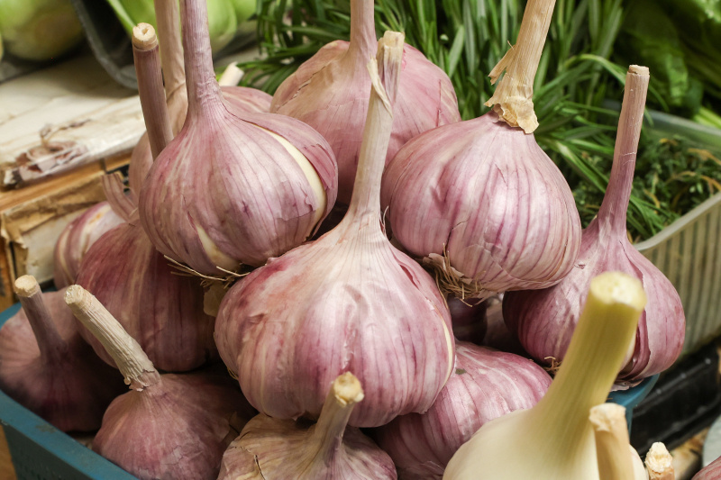    Отмечаются у любителей чеснока (суть в том, чтобы есть продукт регулярно, но не в большом количестве) и положительные изменения в уровне холестерина - он снижается. Фото: © Petrov Sergey/news.ru/Globallookpress