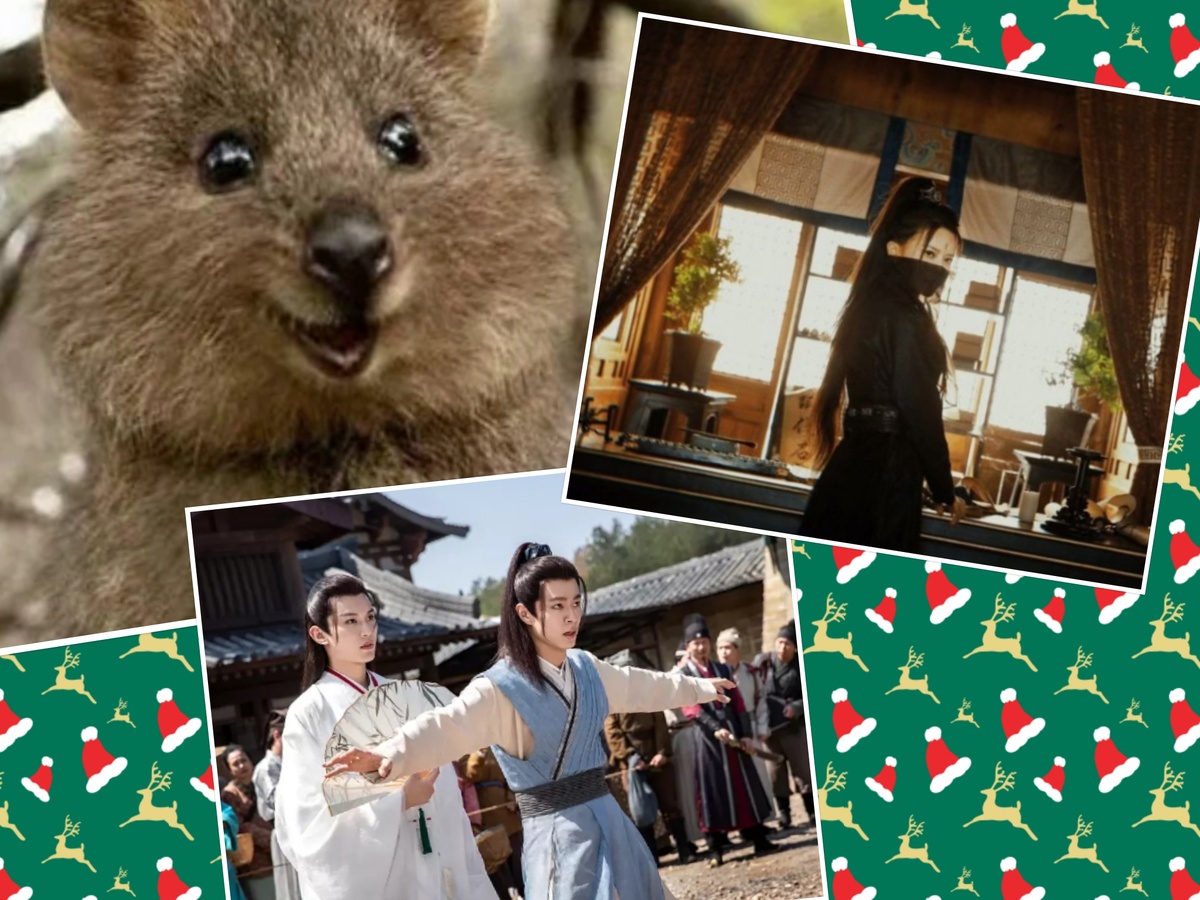 Квокка. 😄❤