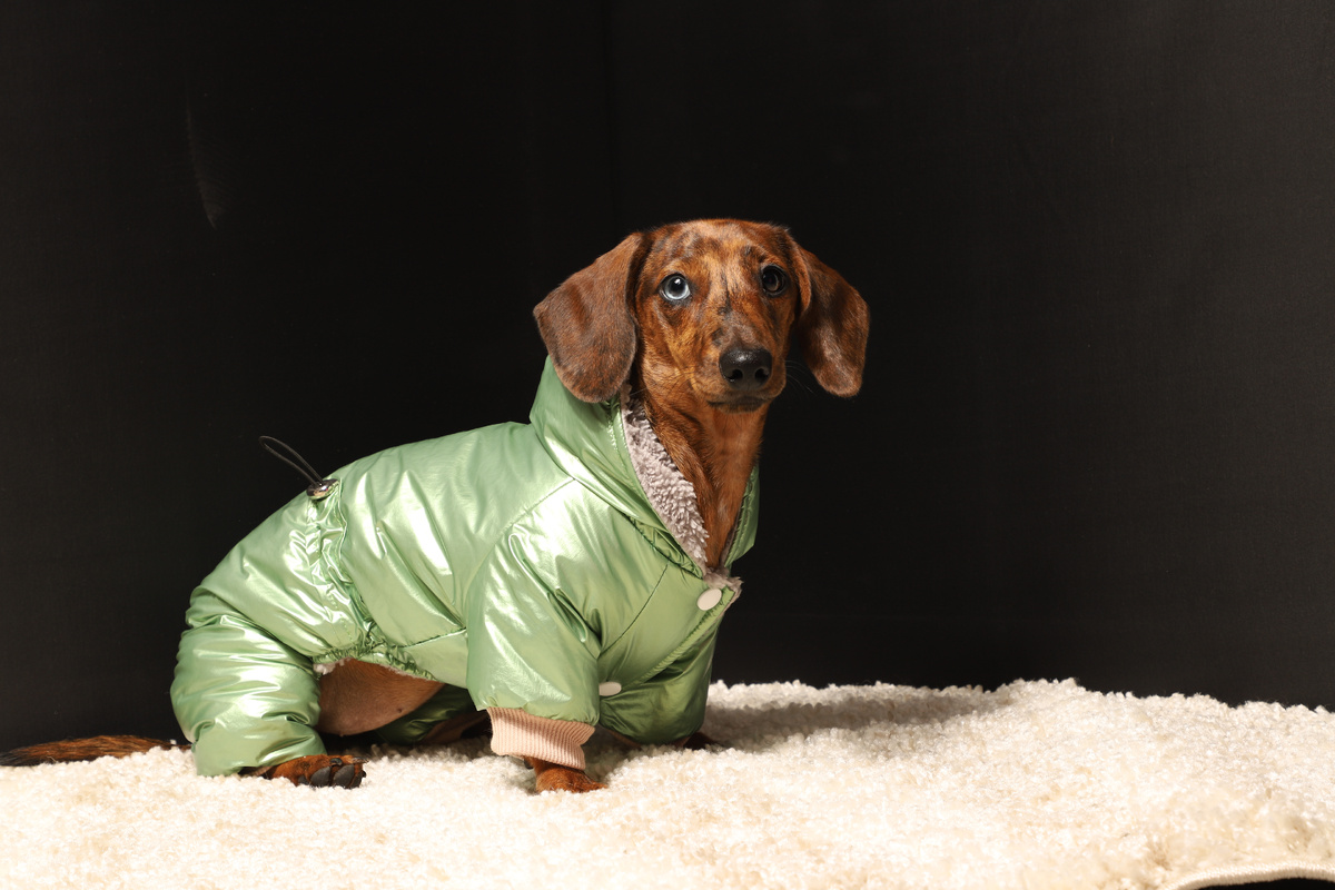 Комбинезон зимний «Харизма», серия BE TRENDY от Triol (арт. 12211568)