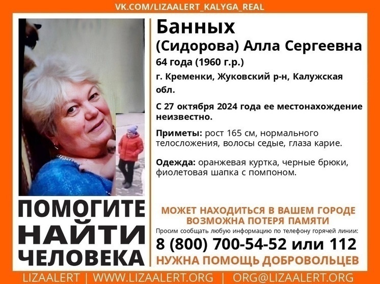     Фото: сообщество "Лиза Алерт" в "ВК"