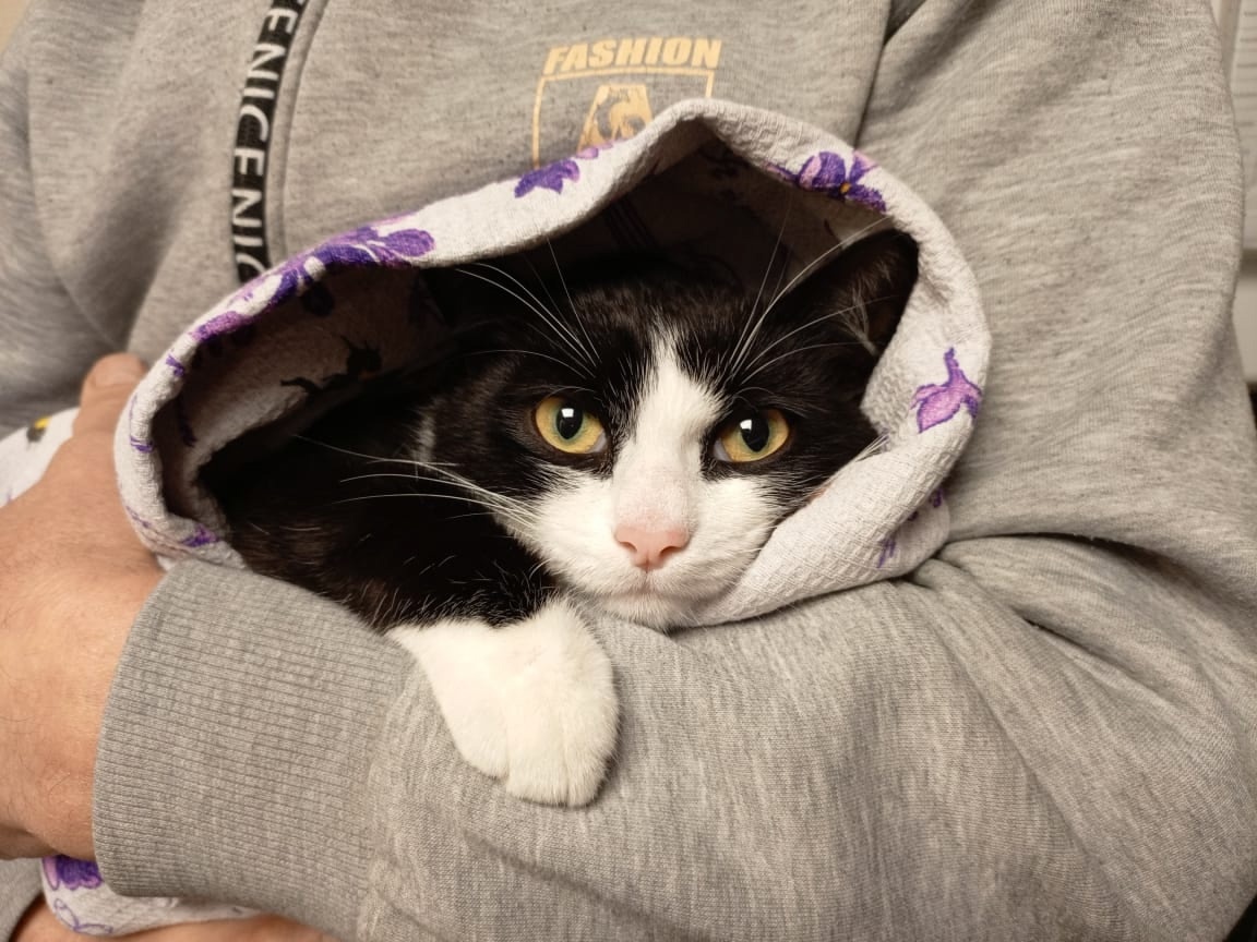 Сёма хочет жить, а мы изо всех сил стараемся, чтобы он поправился