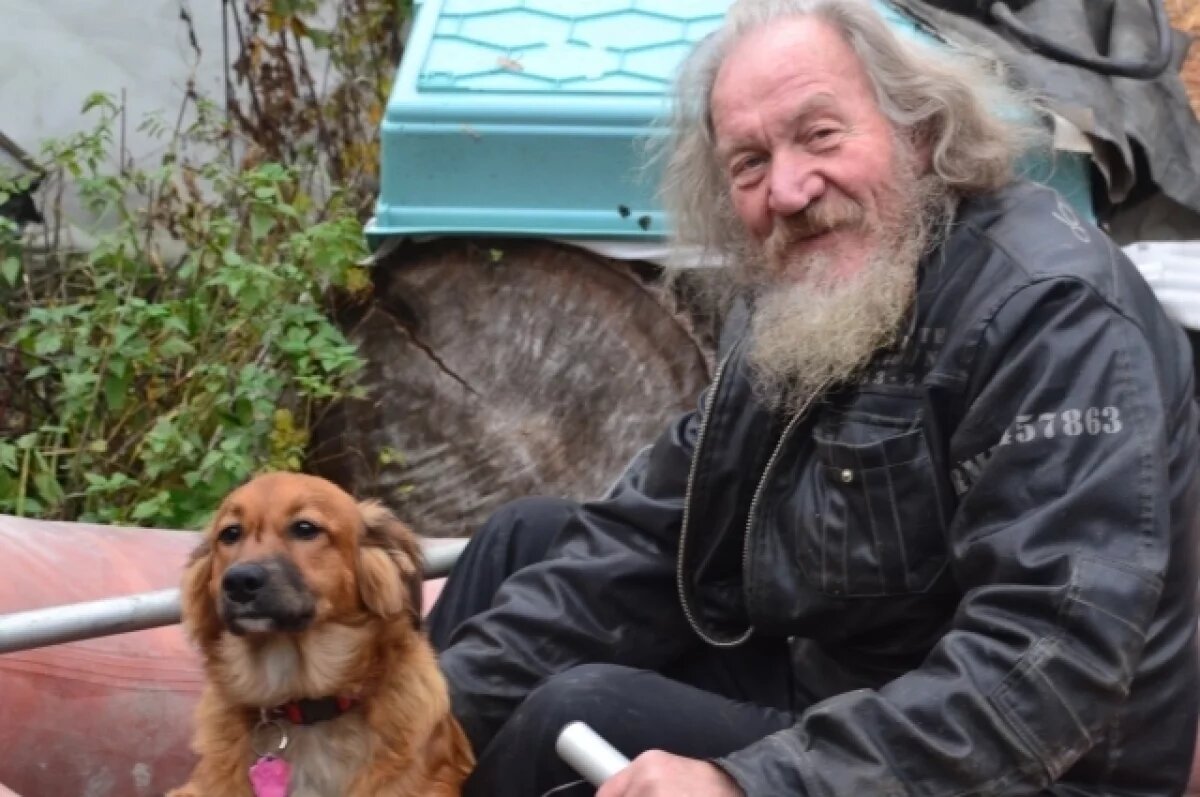    Собака ярославского художника попала под машину