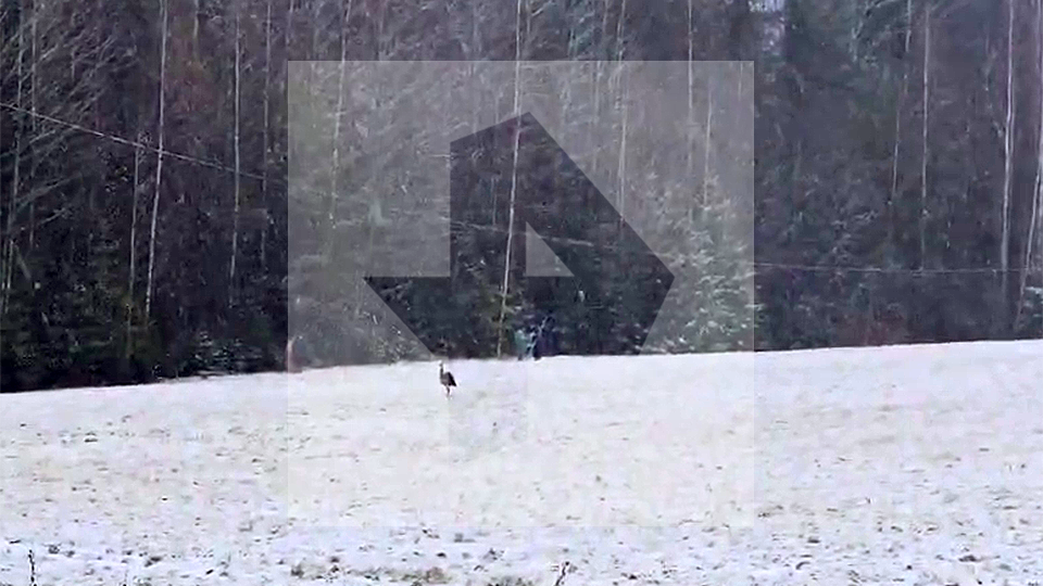 Фото: © ИЗВЕСТИЯ