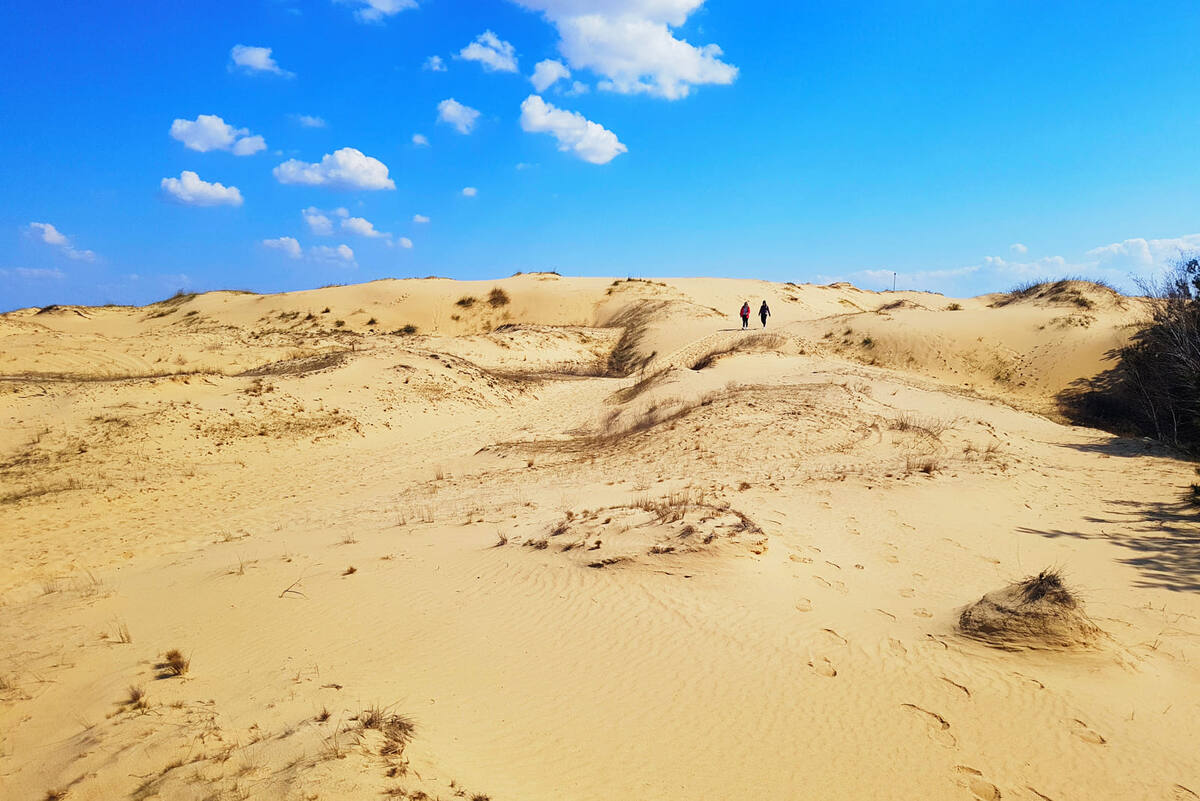 Алешковские пески