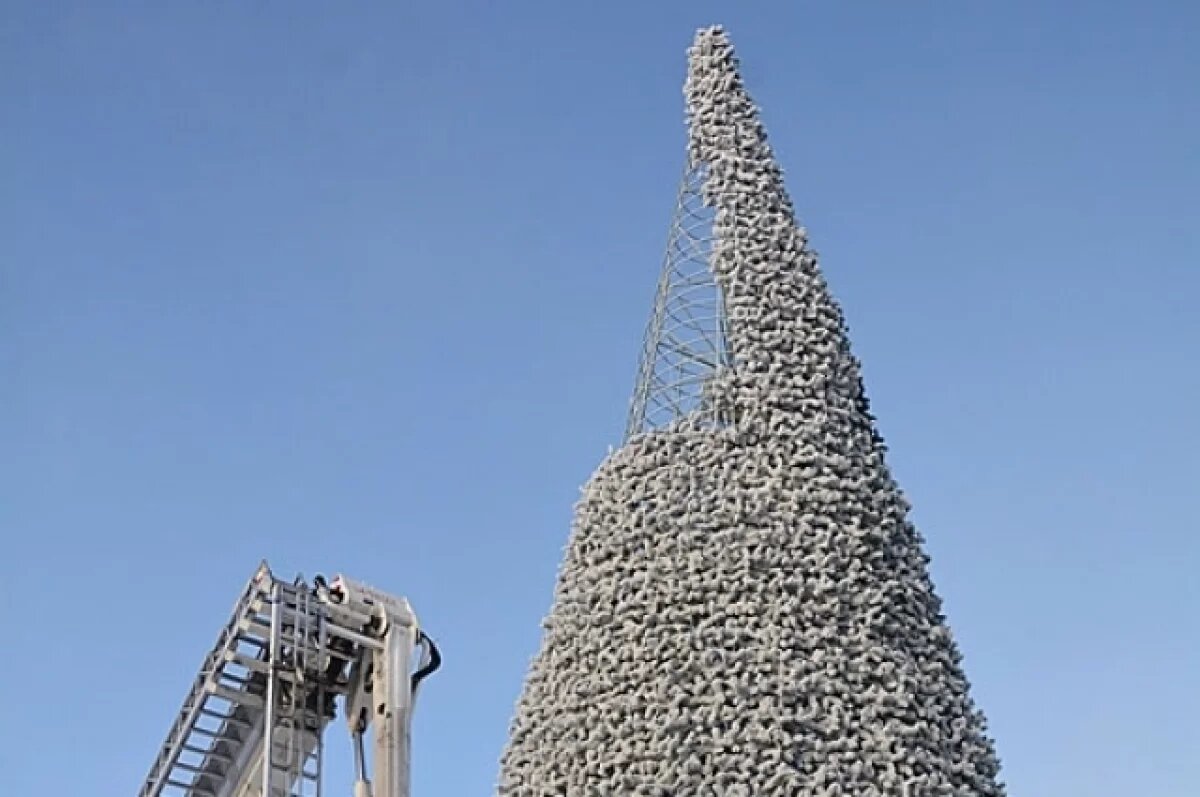    Главную новогоднюю елку Барнаула установят на площади Сахарова