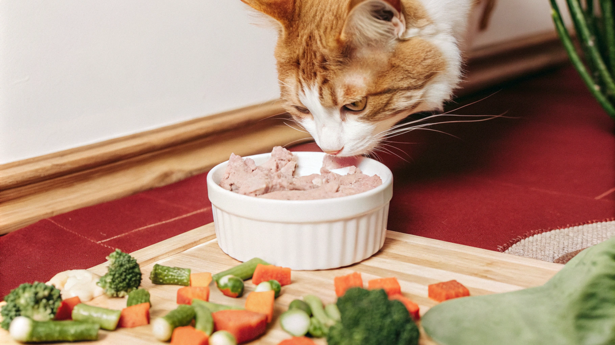 Рецепты изысканных домашних деликатесов для вашей кошки!