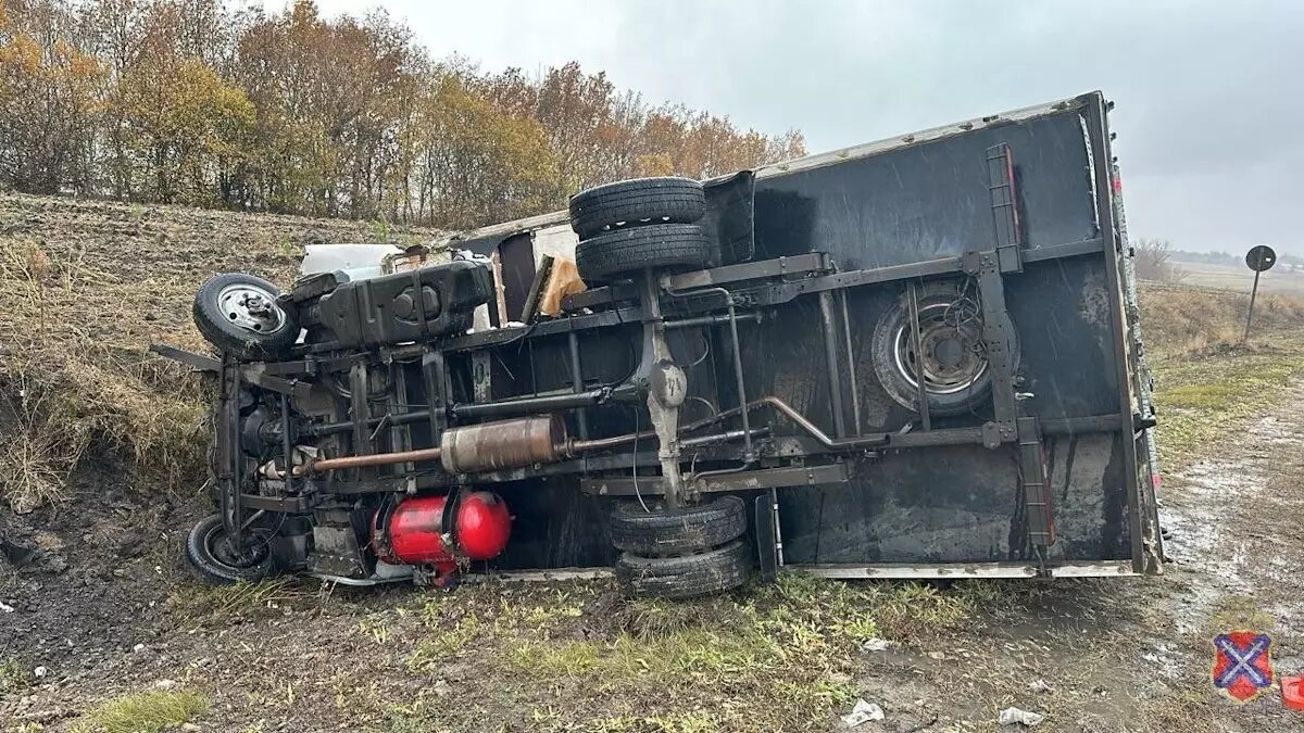     Источник: ГУ МВД по Волгоградской области