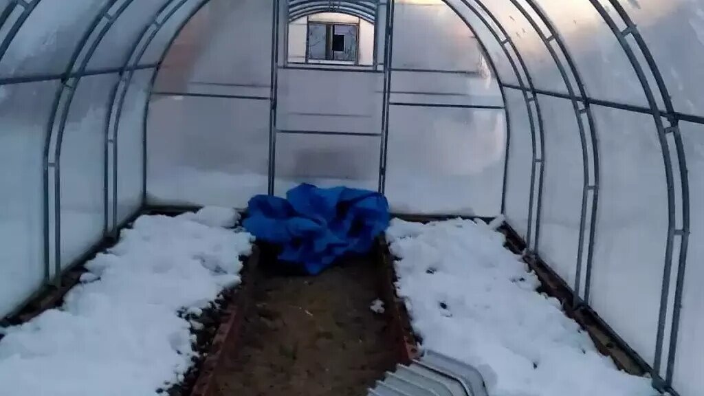 Сейчас в теплице собираю ранний урожай, а почва не мерзнет даже когда на улице тридцать градусов мороза.