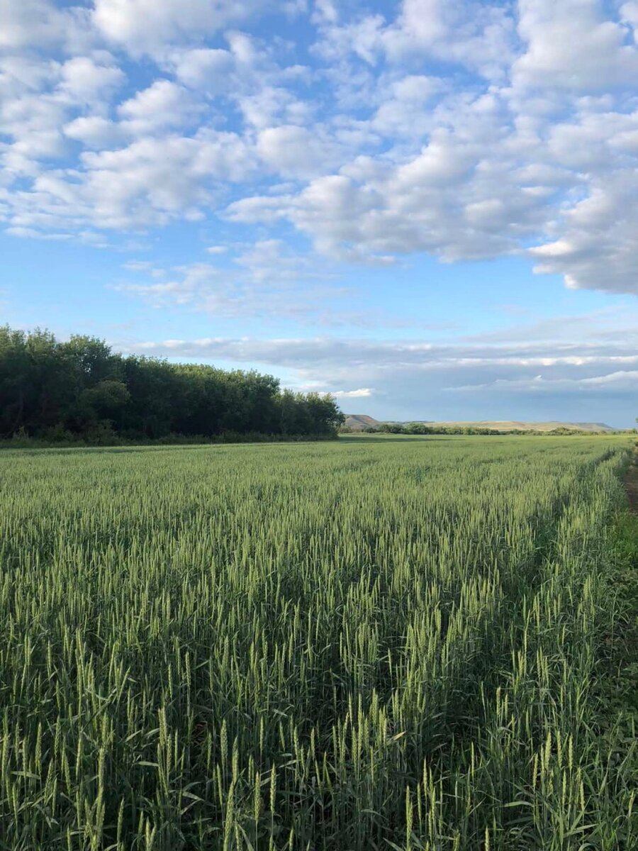    Фото: Гарантийный фонд Оренбургской области