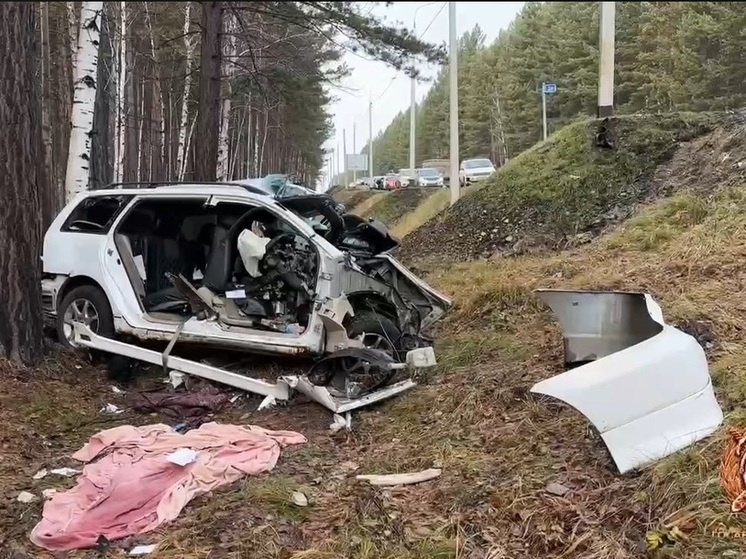     Фото ГАИ Иркутска.