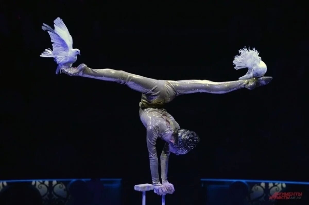    В 2025 году в Ижевске стартует международный фестиваль циркового искусства