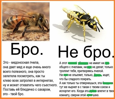 Изображение взято из открытых источников