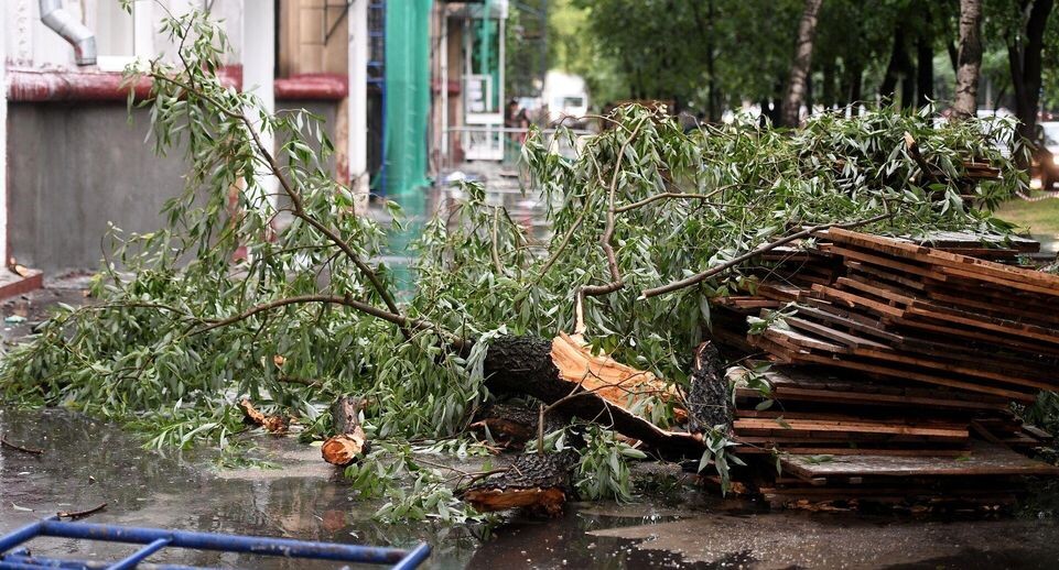    РИА «Новости»