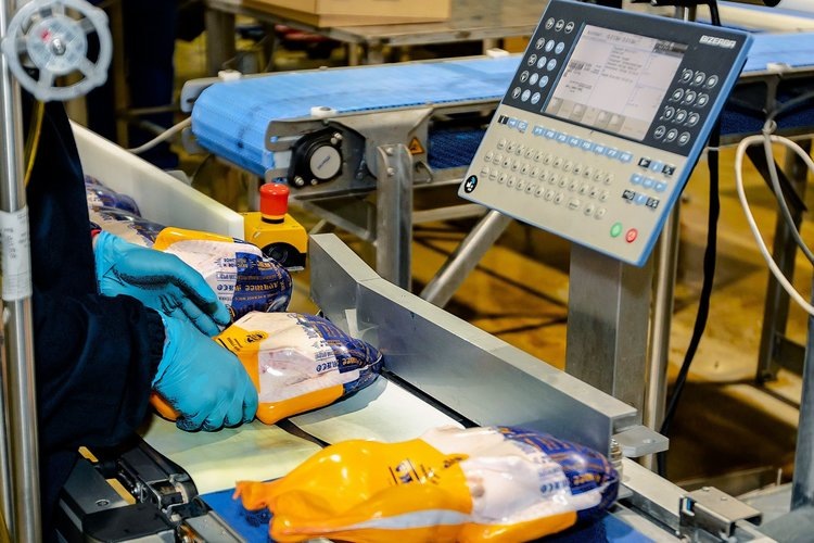    На 30 процентов увеличено промпроизводство утиного мяса в Ростовской области