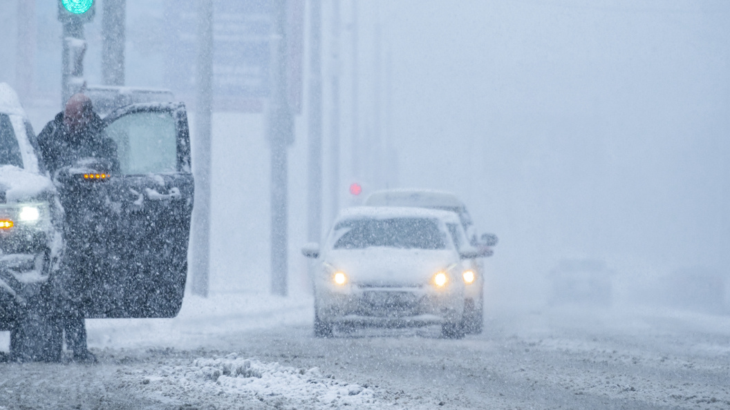    Фото: Константин Кокошкин/Globallookpress.