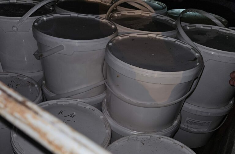    Через Оренбуржье пытались незаконно вывезти 600 килограммов меда Кристина Просвиркина