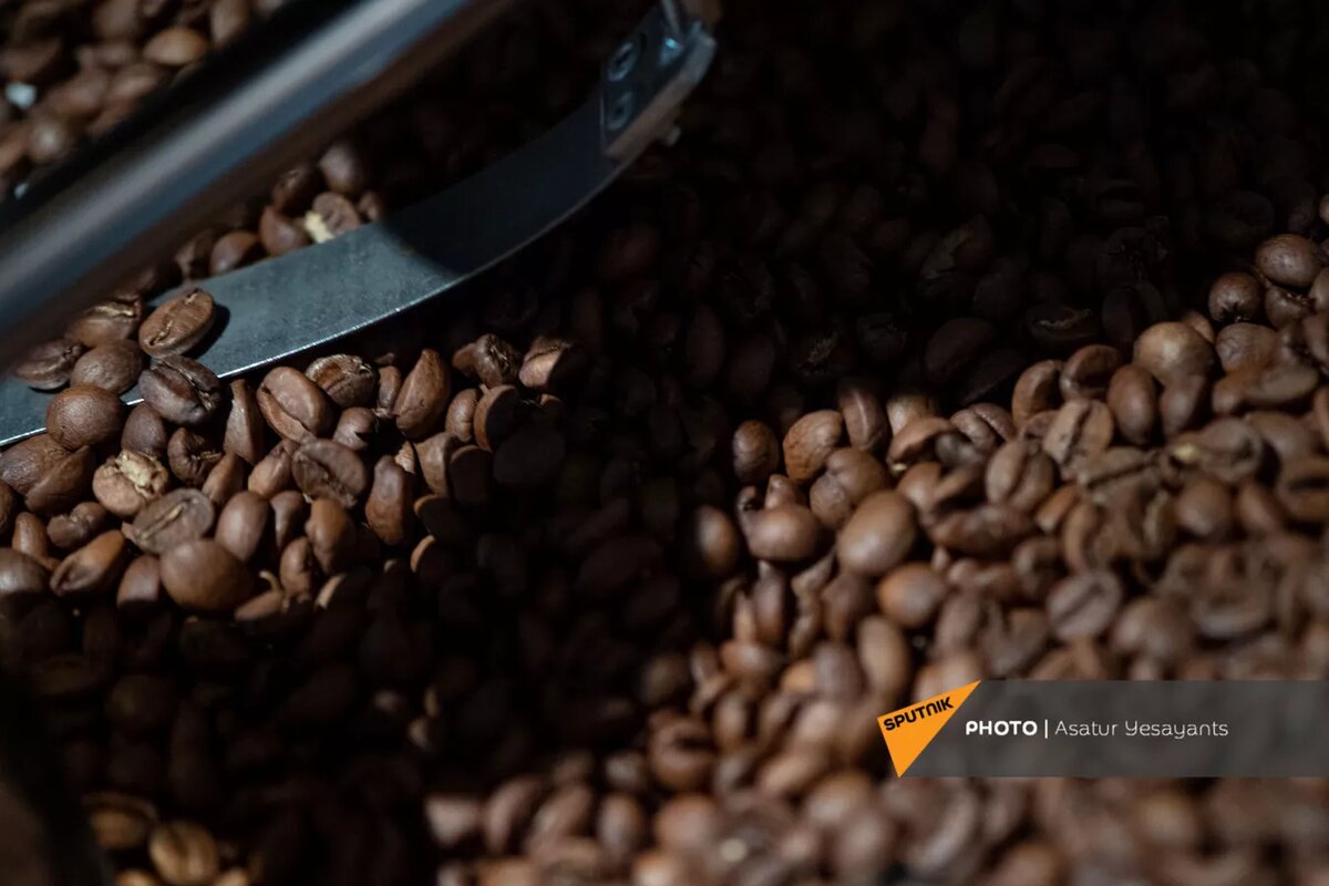 © Sputnik / Asatur Yesayants