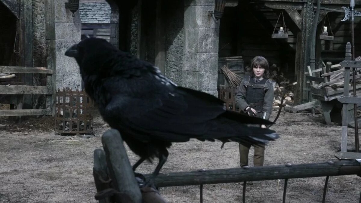 Фото из открытых источников