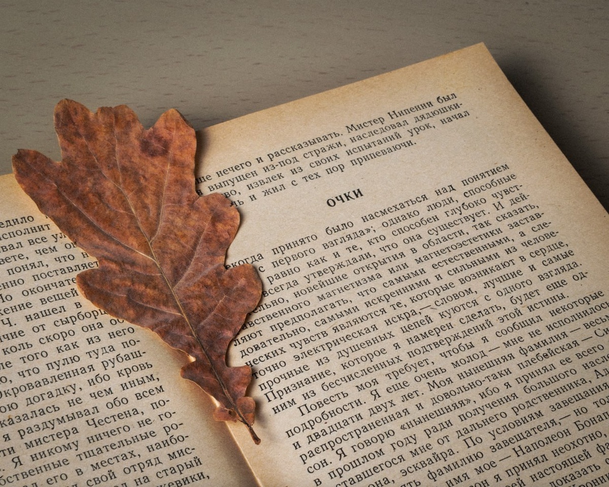 Фото из телеграм-канала «Слово в Искусстве» 