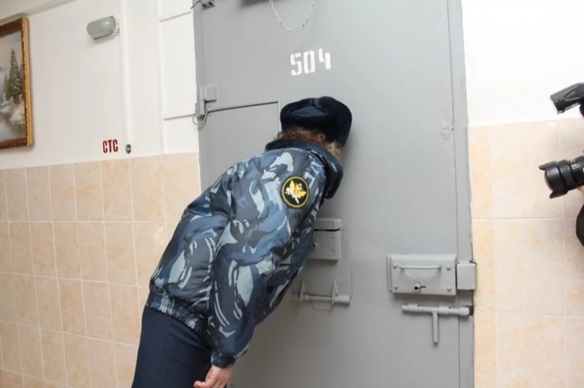    Ижевчанку, обвиняемую в мошенничестве с соцвыплатами, отправили в СИЗО